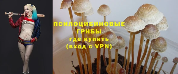 гашиш Арсеньев