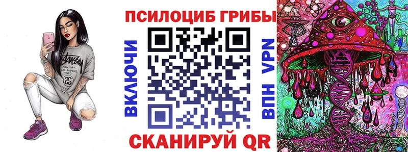 Псилоцибиновые грибы Magic Shrooms  кракен ТОР  Судак  купить наркотики сайты 